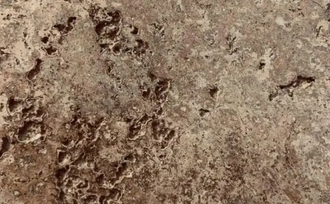 Декоративная штукатурка "коричневый каменный скол" ELF DECOR TRAVERTINO STYLE WENGE 5кг 1702626023 фото
