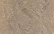 Декоративна штукатурка ELF DECOR Persia Light Pearl 1кг 2567603007 фото