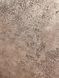 Декоративная интерьерная штукатурка TM DECORATOR TRAVERTIN WHITE 15кг 1411176486 фото 3