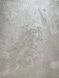 Декоративная интерьерная штукатурка TM DECORATOR VELVET 2.5кг 1411393745 фото 2